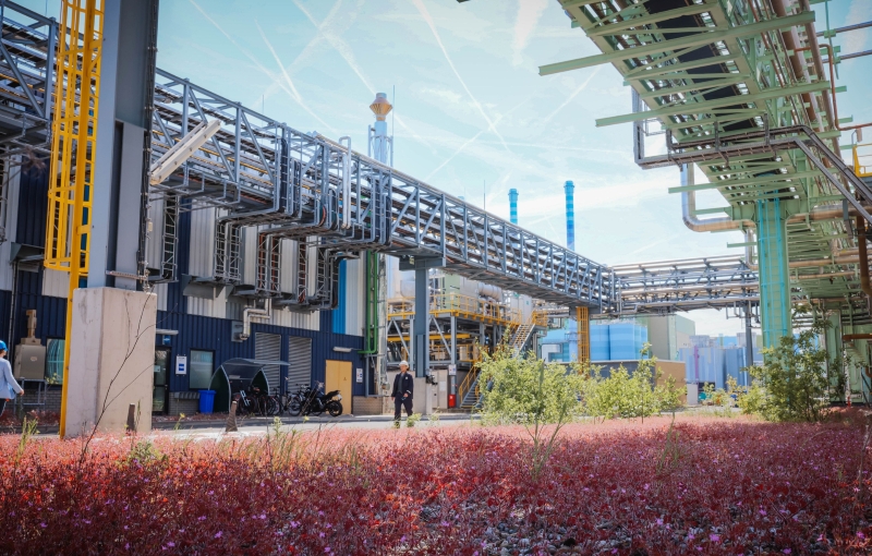 Nobian Standort in Frankfurt optimiert den Energieverbrauch und stärkt das deutsche Stromnetz durch flexible Produktion